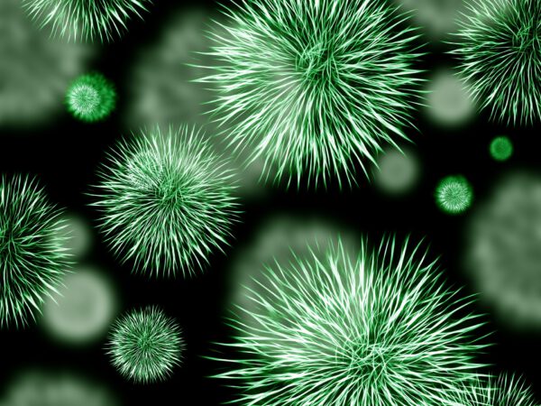 MIkrobiomanalyse, Bakterien (pixabay.com)